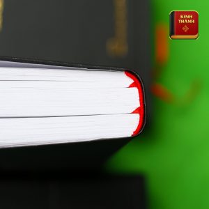 Kinh Thánh Tiếng Việt (Cựu Ước Và Tân Ước)