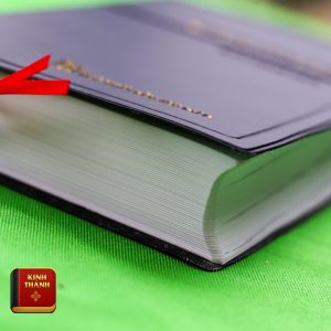 Kinh Thánh Tiếng Việt (Cựu Ước Và Tân Ước)