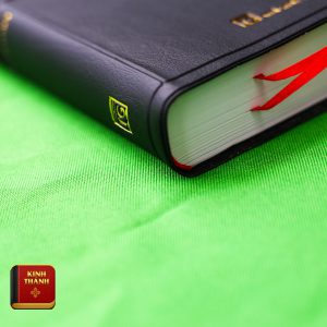 Kinh Thánh Tiếng Việt (Cựu Ước Và Tân Ước)