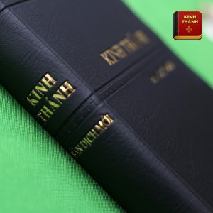 Kinh Thánh Tiếng Việt (Cựu Ước Và Tân Ước)