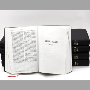 [ Chữ to dễ đọc ] Sách kinh thánh tiếng việt, kinh thánh cựu ước tân ước, kinh thánh trọn bộ bản Dịch Mới cỡ lớn 14 x 21 cm